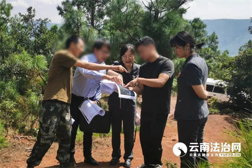 湖南省云南楚雄市法院设立“1+4”生态司法保护基地 构筑护航绿水青山法治屏障