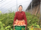 湖南省江苏邗江安平社区：构建“四位一体”机制 提升党建服务水平